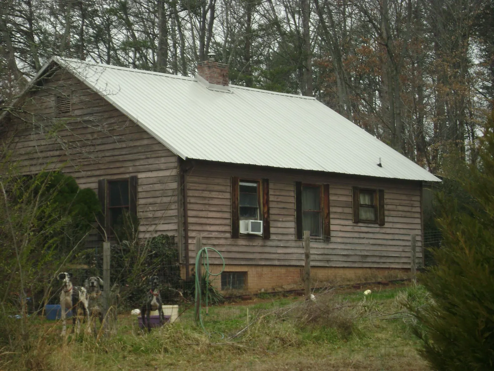 White metal roof on an old wood sided farmhouse, from a Asphalt Shingle Roof Repair job in Zephyrhills